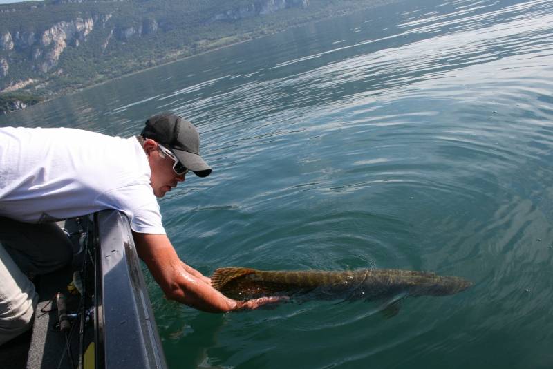 Pêche des carnassiers et salmonidés sur le lac du Bourget