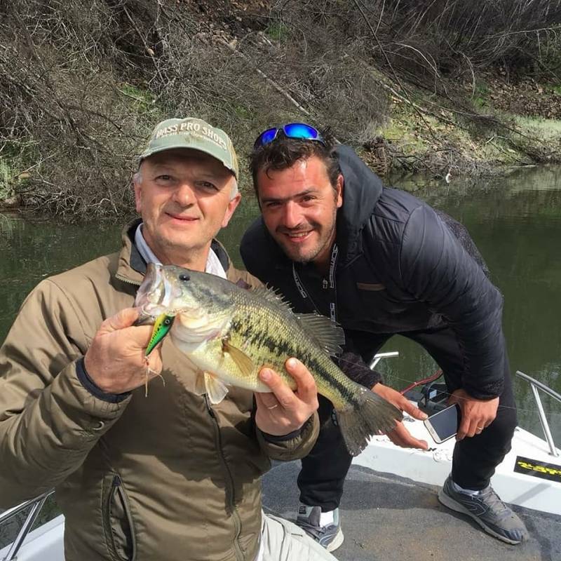 Black bass fishing Portugal