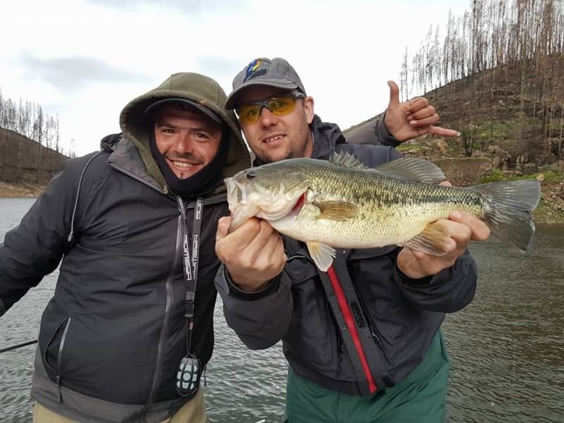 Black bass fishing Portugal