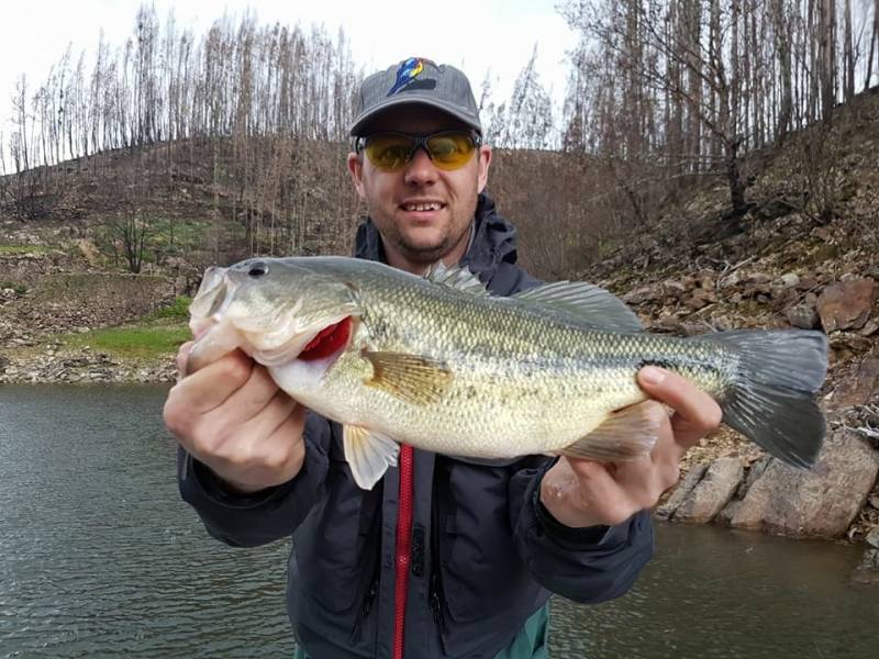 Black bass fishing Portugal