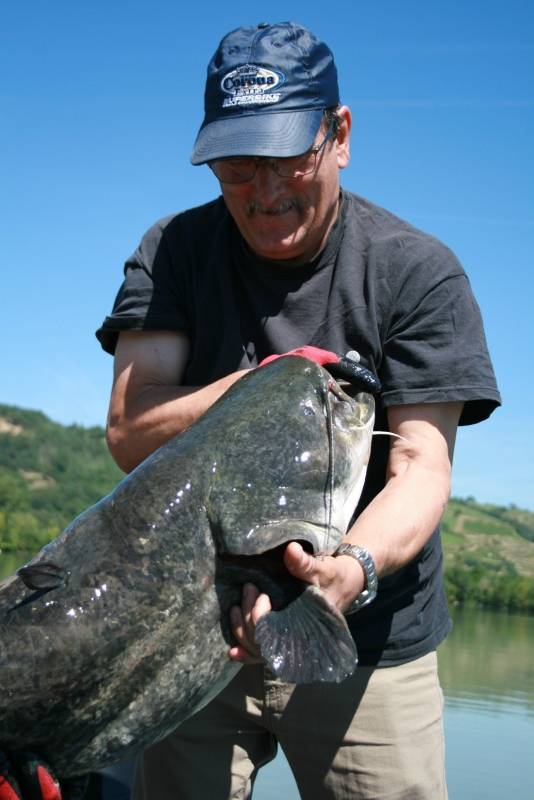 Fishing day for pike, zander, perch and catfish in the Rhone