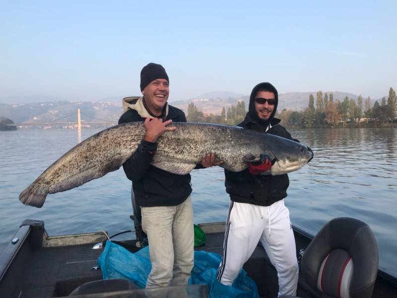 Fishing day for pike, zander, perch and catfish in the Rhone