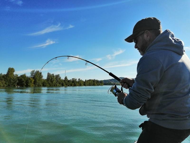 Fishing day for pike, zander, perch and catfish in the Rhone