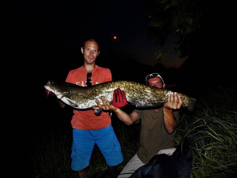 Stage De Peche Du Silure Du Bord