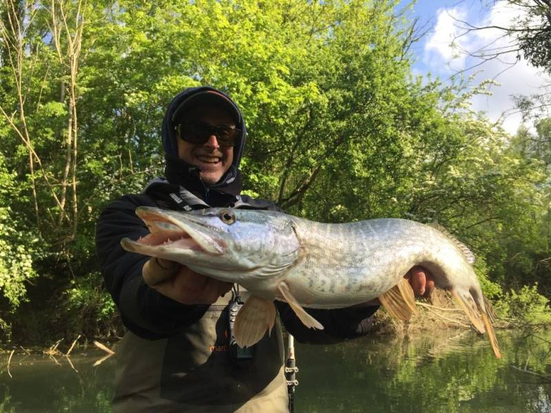 Stage de pêche au brochet, au sandre et à la perche sur la Seine avec vincent de bruyne guide de pêche