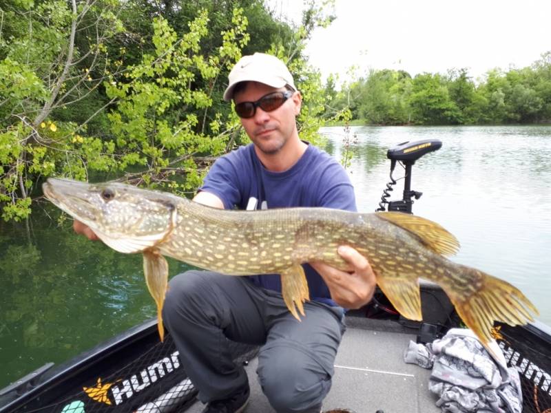 Stage de pêche au brochet, au sandre et à la perche sur la Seine avec vincent de bruyne guide de pêche