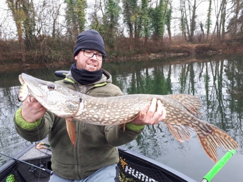 Stage de pêche au brochet, au sandre et à la perche sur la Seine avec vincent de bruyne guide de pêche