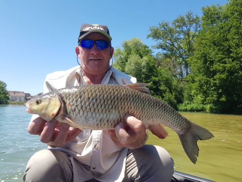 Stage de pêche au brochet, au sandre et à la perche sur la Seine avec vincent de bruyne guide de pêche