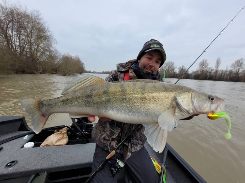 Stage de pêche au brochet, au sandre et à la perche sur la Seine avec vincent de bruyne guide de pêche