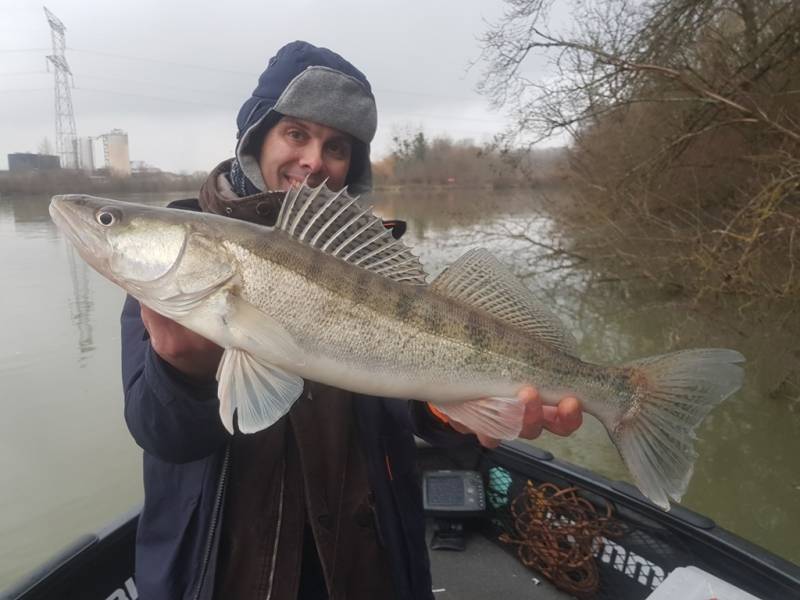 Stage de pêche au brochet, au sandre et à la perche sur la Seine avec vincent de bruyne guide de pêche