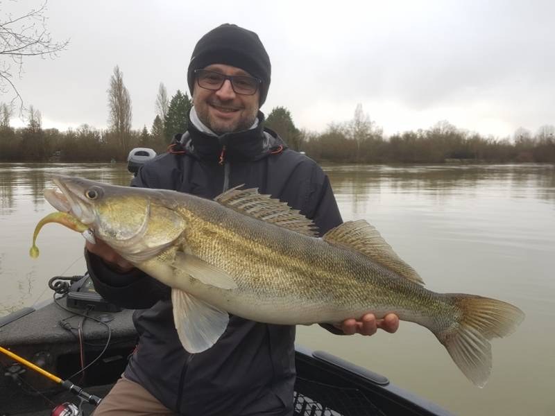 Stage de pêche au brochet, au sandre et à la perche sur la Seine avec vincent de bruyne guide de pêche