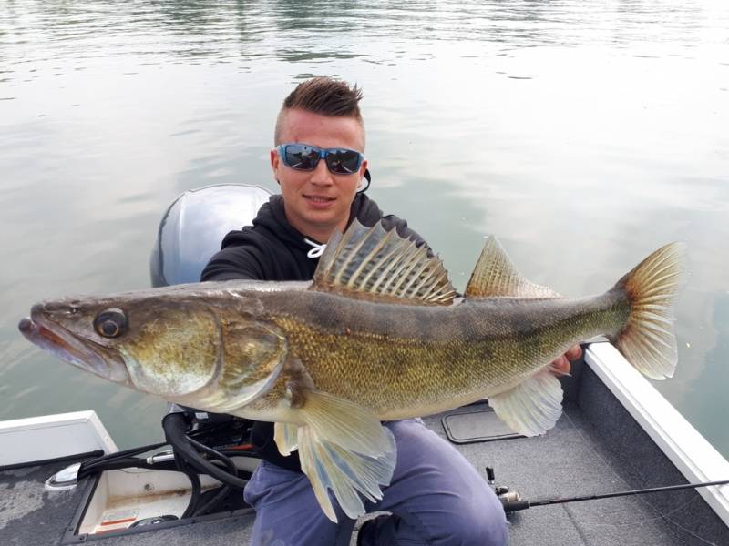 Stage de pêche au brochet, au sandre et à la perche sur la Seine avec vincent de bruyne guide de pêche