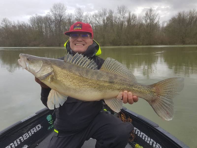 Stage de pêche au brochet, au sandre et à la perche sur la Seine avec vincent de bruyne guide de pêche