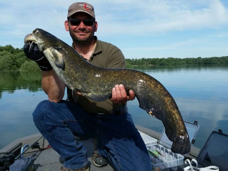 Stage de pêche au brochet, au sandre et à la perche sur la Seine avec vincent de bruyne guide de pêche