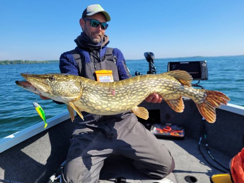 Stage de pêche au brochet et à la perche en bateau sur les lacs de la Forêt d'Orient avec Vincent de Bruyne guide de pêche