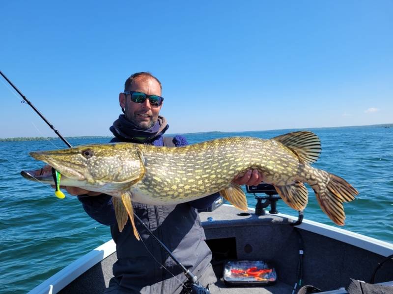 Stage de pêche au brochet et à la perche en bateau sur les lacs de la Forêt d'Orient avec Vincent de Bruyne guide de pêche