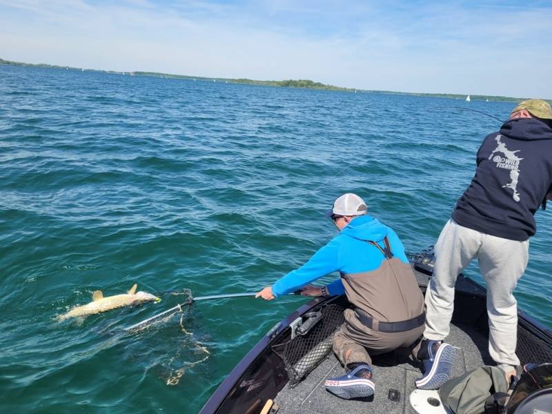 Stage de pêche au brochet et à la perche en bateau sur les lacs de la Forêt d'Orient avec Vincent de Bruyne guide de pêche