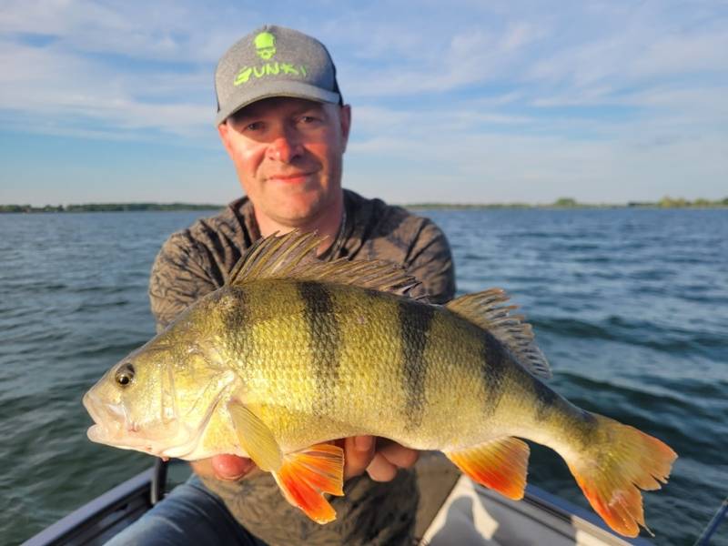 Stage de pêche au brochet et à la perche en bateau sur les lacs de la Forêt d'Orient avec Vincent de Bruyne guide de pêche