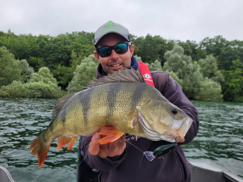 Stage de pêche au brochet et à la perche en bateau sur les lacs de la Forêt d'Orient avec Vincent de Bruyne guide de pêche