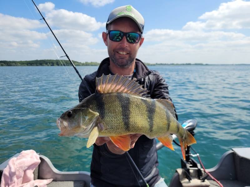 Stage de pêche au brochet et à la perche en bateau sur les lacs de la Forêt d'Orient avec Vincent de Bruyne guide de pêche