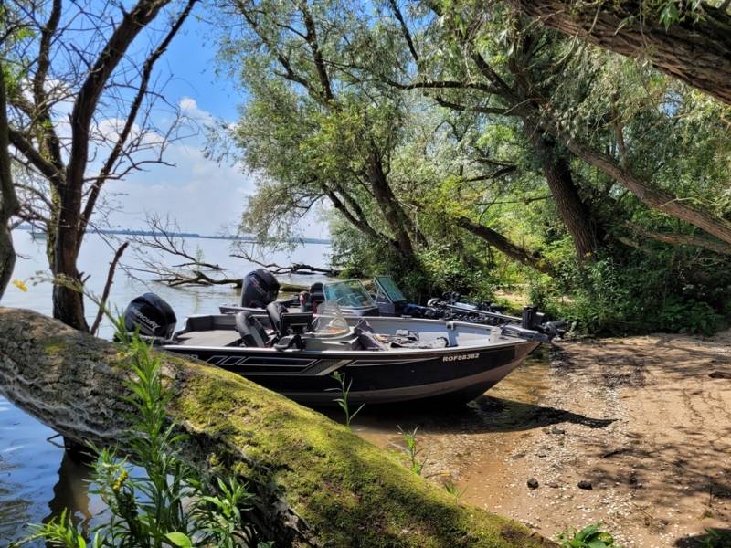 Stage de pêche au brochet et à la perche en bateau sur les lacs de la Forêt d'Orient avec Vincent de Bruyne guide de pêche