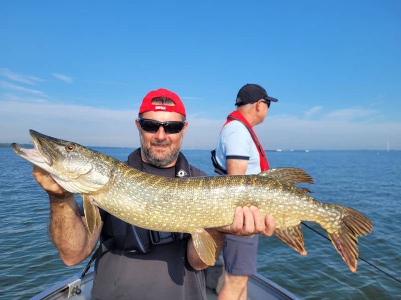 Stage de pêche au brochet et à la perche en bateau sur les lacs de la Forêt d'Orient avec Vincent de Bruyne guide de pêche