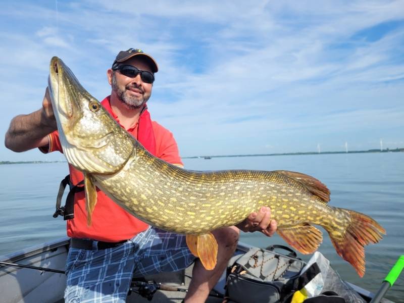 Stage de pêche au brochet et à la perche en bateau sur les lacs de la Forêt d'Orient avec Vincent de Bruyne guide de pêche