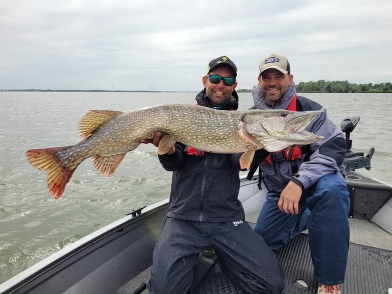 Stage de pêche au brochet et à la perche en bateau sur les lacs de la Forêt d'Orient avec Vincent de Bruyne guide de pêche