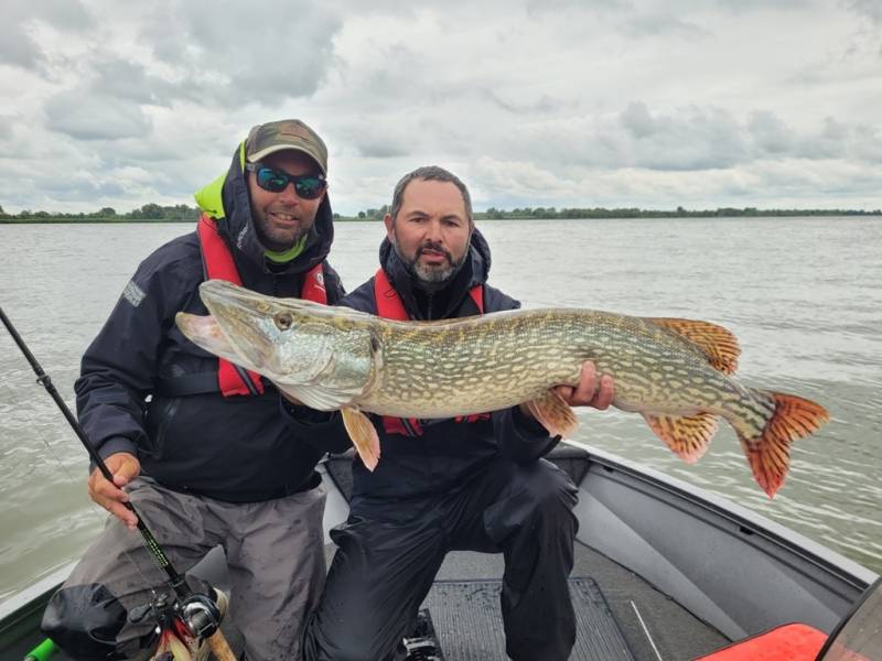 Stage de pêche au brochet et à la perche en bateau sur les lacs de la Forêt d'Orient avec Vincent de Bruyne guide de pêche