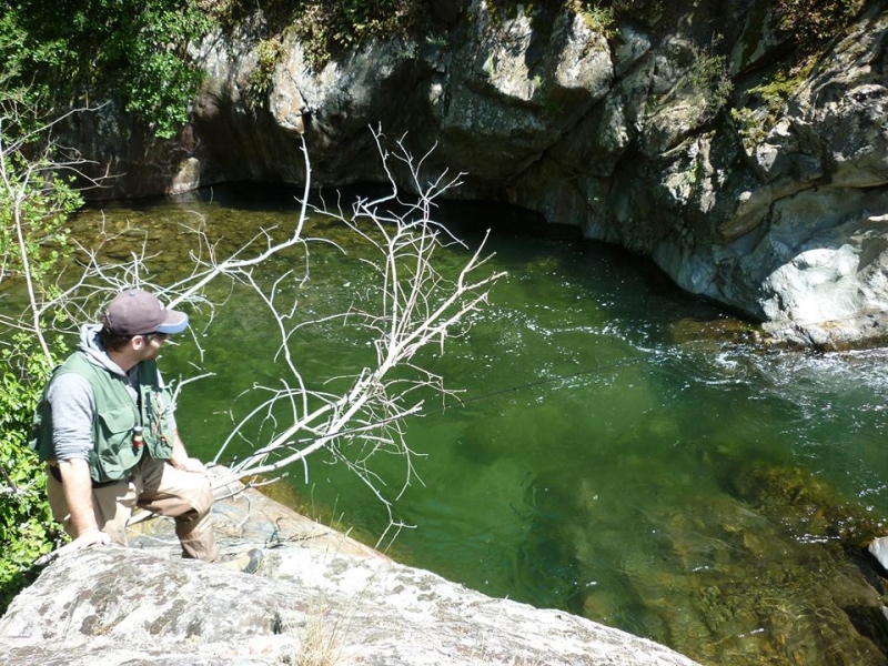 Pêche de la truite en rivière à la mouche