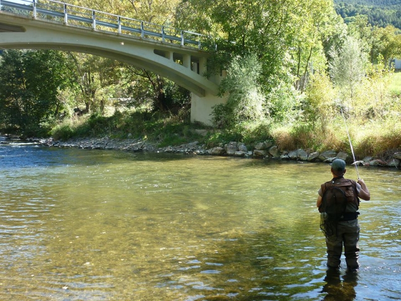 Pêche de la truite en rivière à la mouche