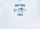 Big Fish 1983 Thon-bigfish-900X900-580x580