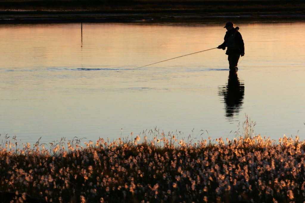 Libros de pesca: nuestra selección de los mejores libros de pesca