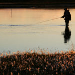 Fishing book: our selection of the best books dedicated to fishing