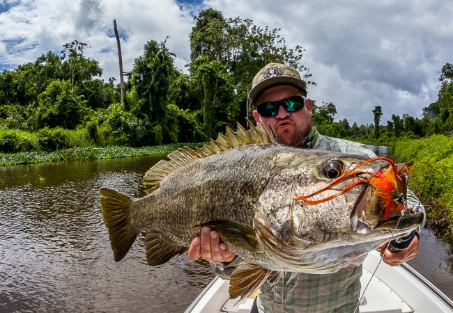 Papuan Bass