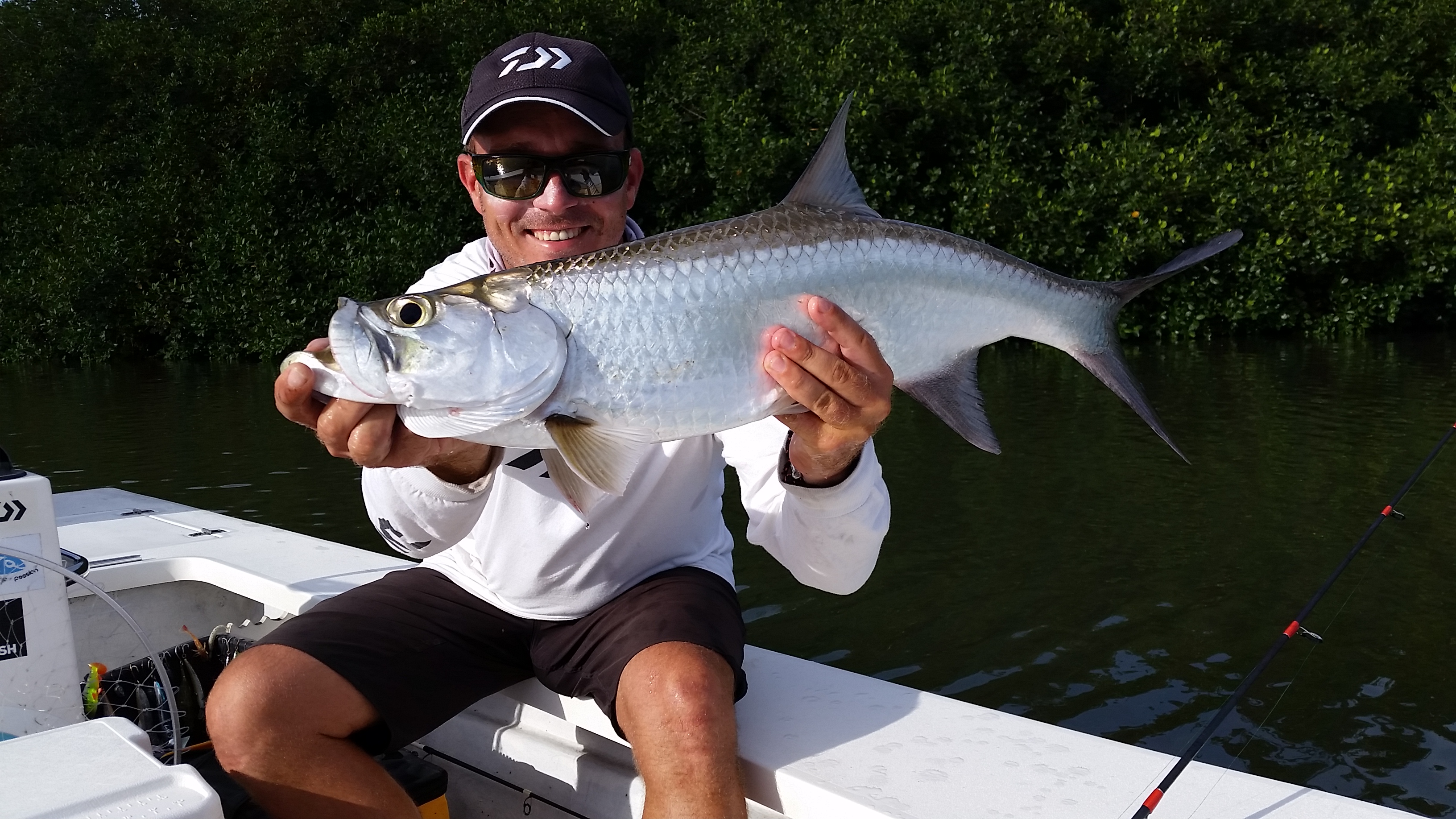 Tarpon : le roi argenté