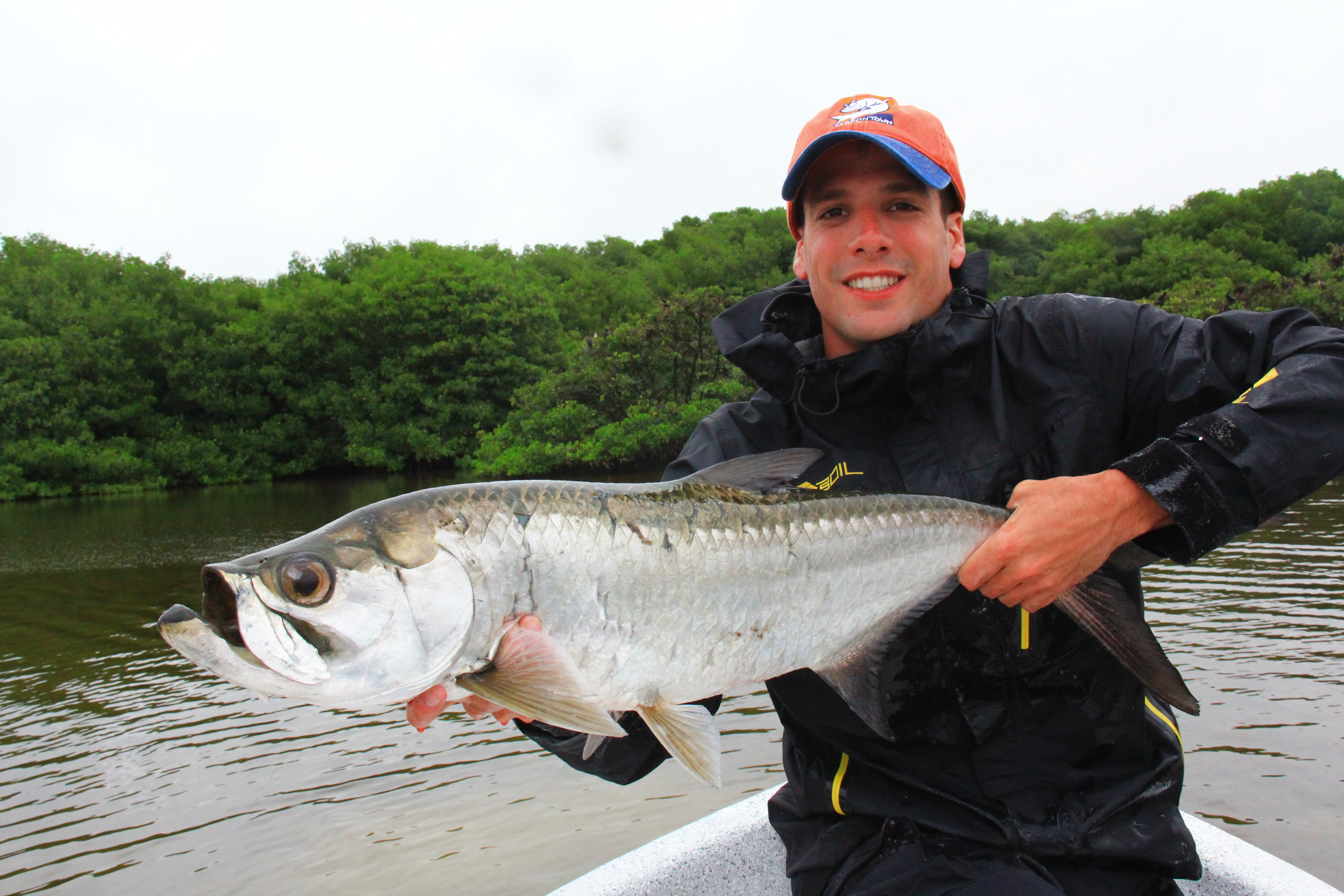 Tarpon : le roi argenté