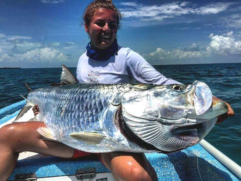 Tarpon : le roi argenté