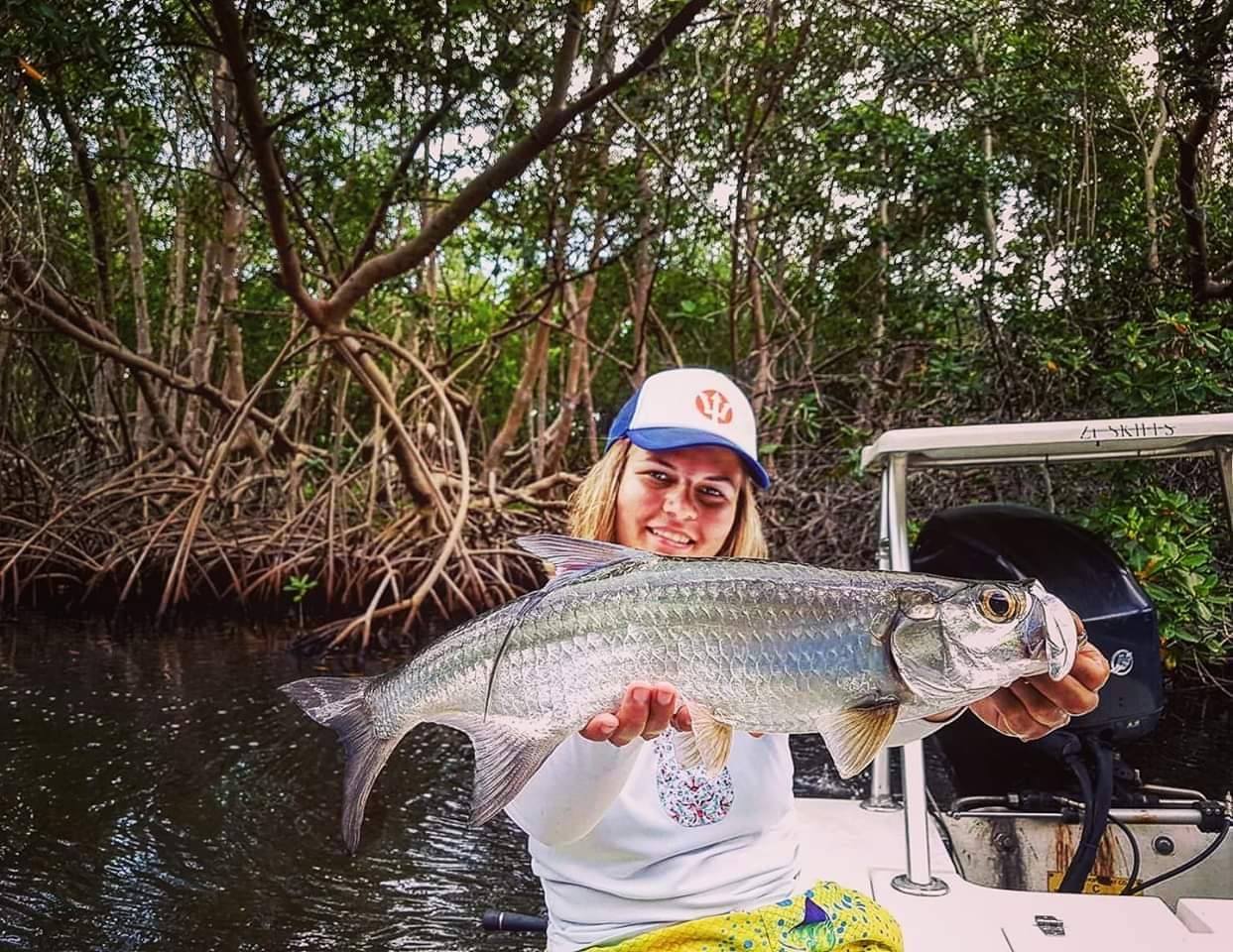 Tarpon : le roi argenté