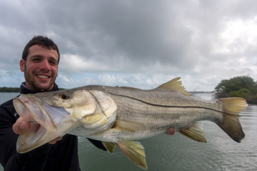 Snook poisson