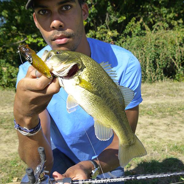 Les topwaters : Une manière fun de pêcher au leurre