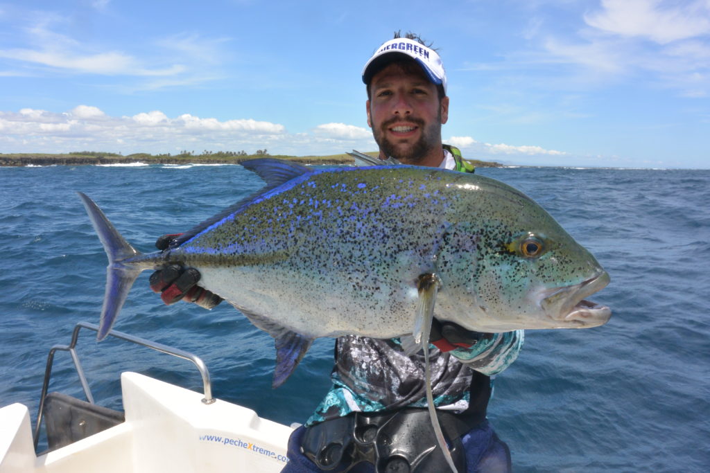 Carangue bleue ou Caranx Melampygus