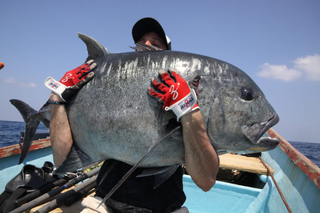 Trevally gigante trevally