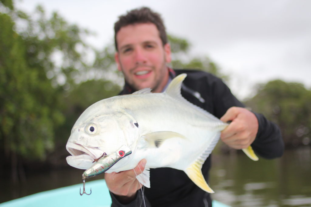 Carangue crevalle ou Caranx Hippos