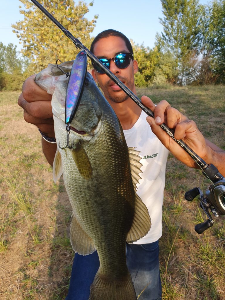 2. Le stickbait : Le leurre à black-bass typique de surface