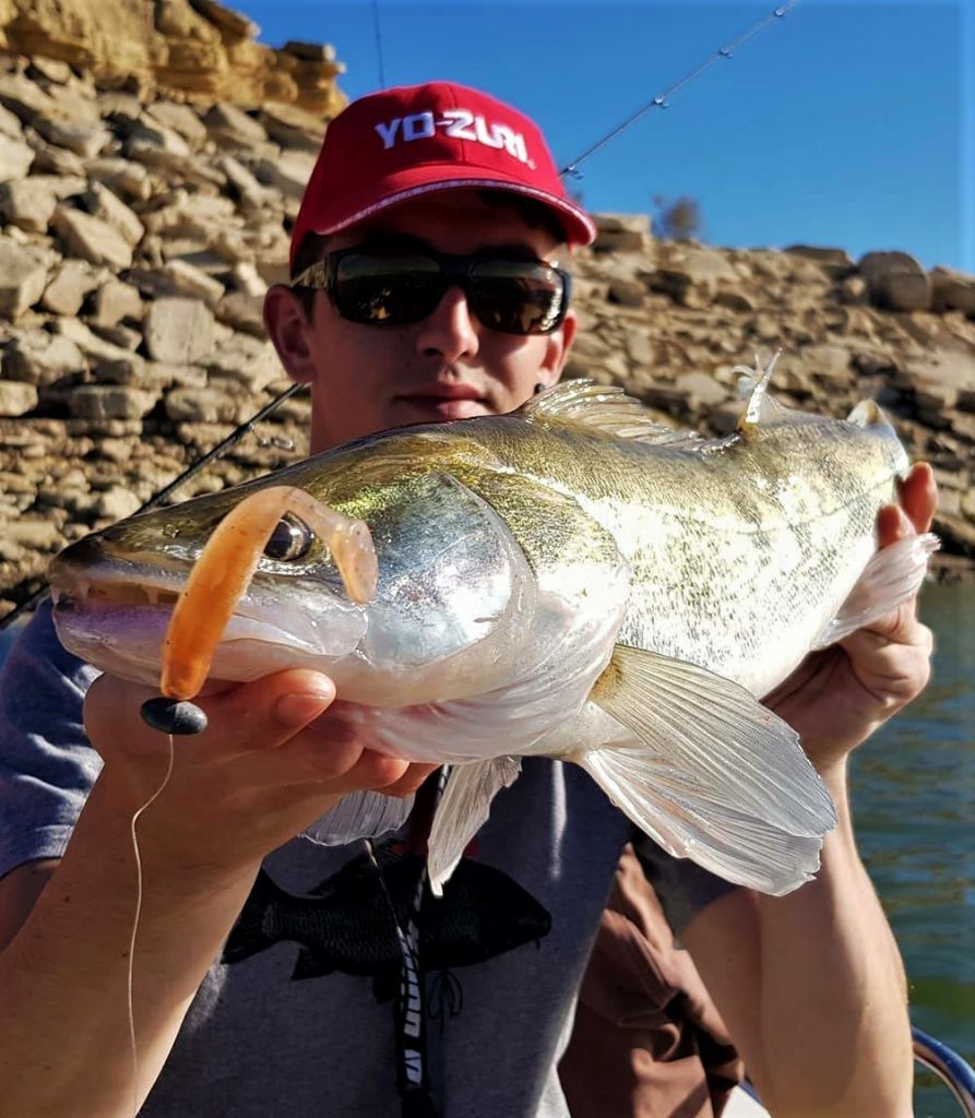 6. BASS ASSASSIN TURBO SHAD : Un leurre à sandre incontournable  