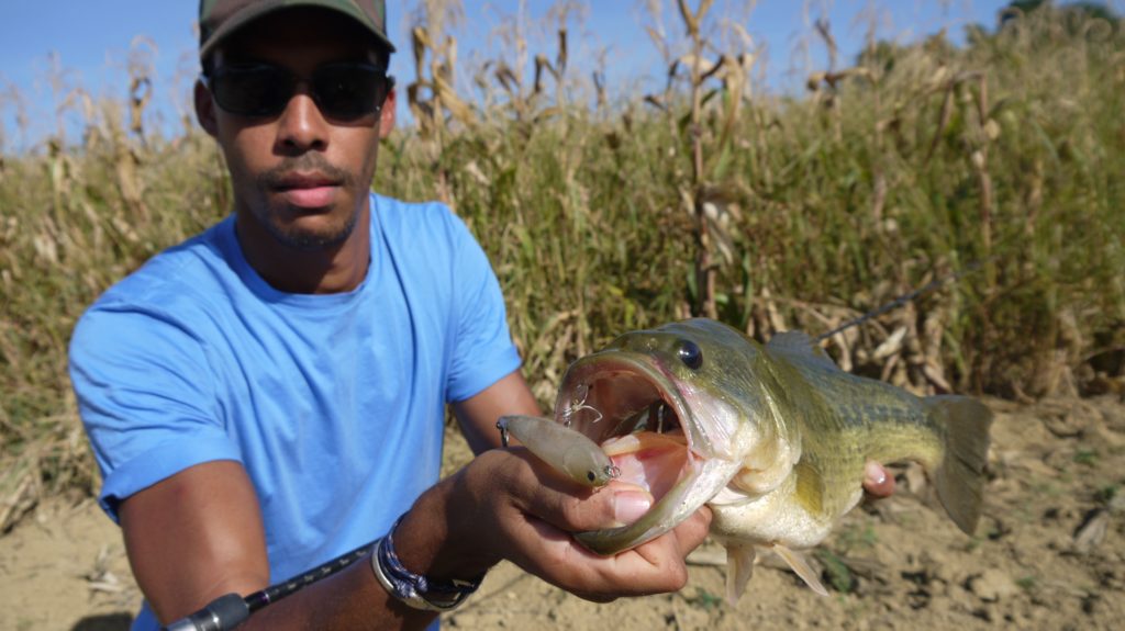 2. Le stickbait : Le leurre à black-bass typique de surface