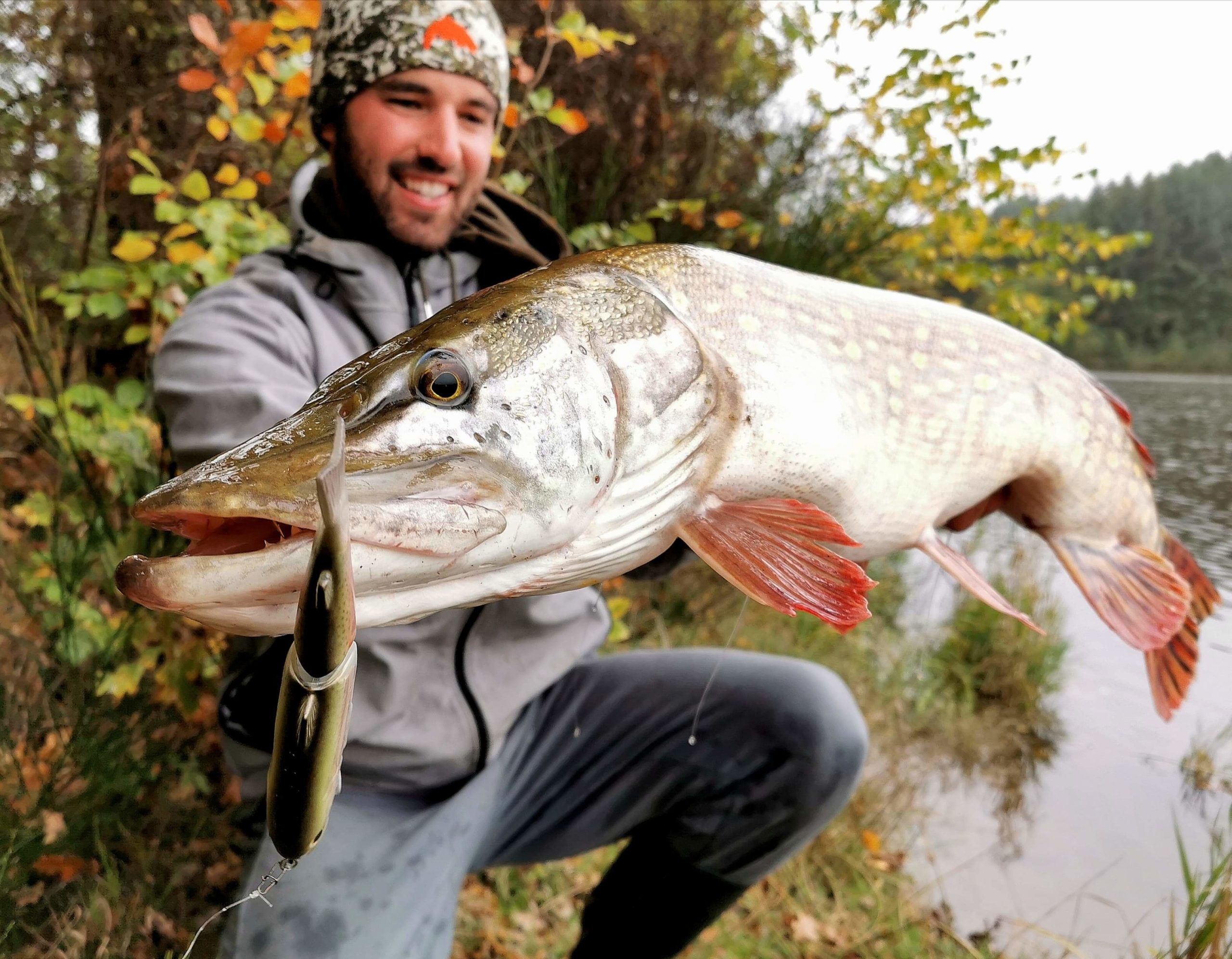 10 leurres à brochet à avoir dans sa boîte de pêche