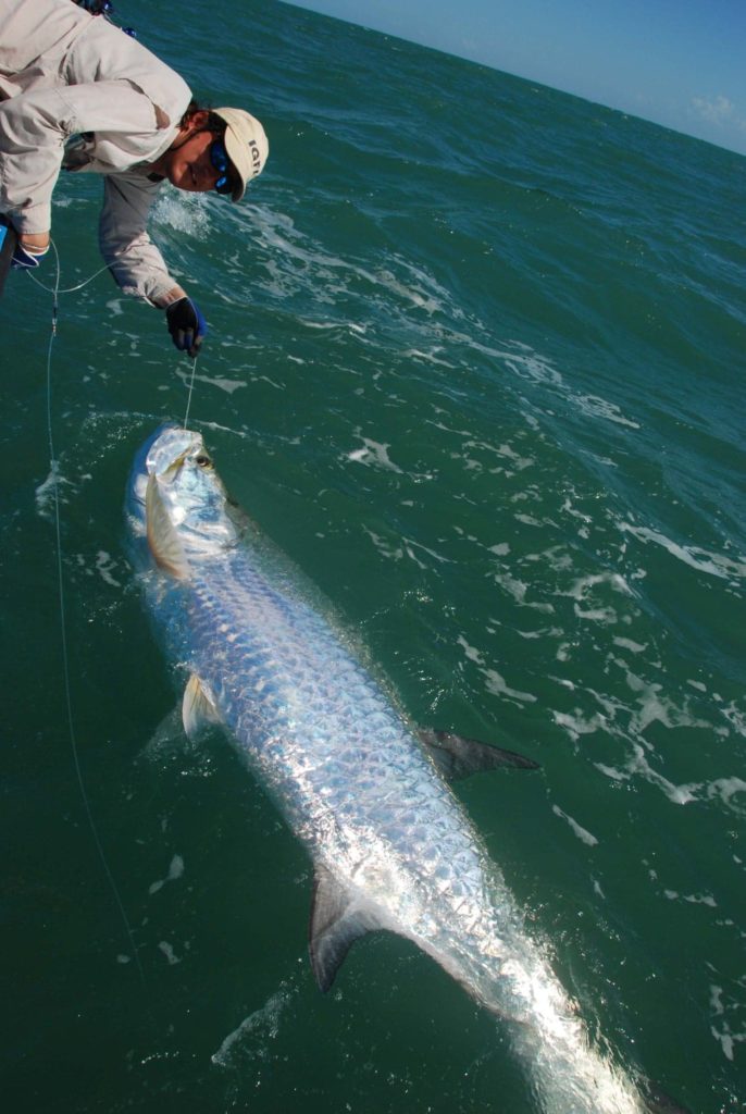 Alban Choinier Tarpon