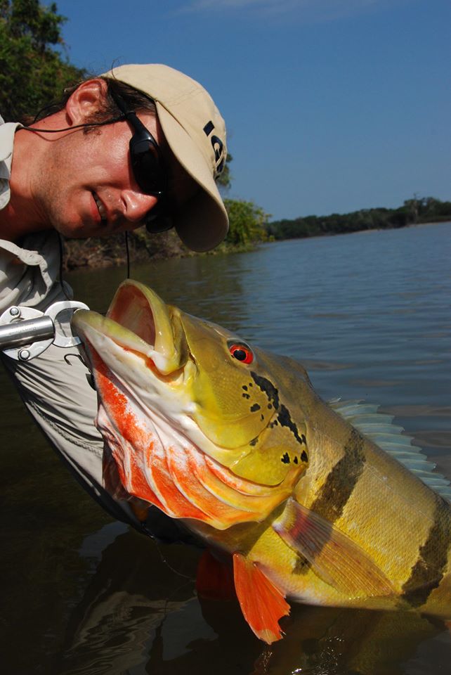 Alban Choinier peacock bass